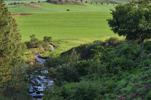 Feb 2026 - Otters Den (15)