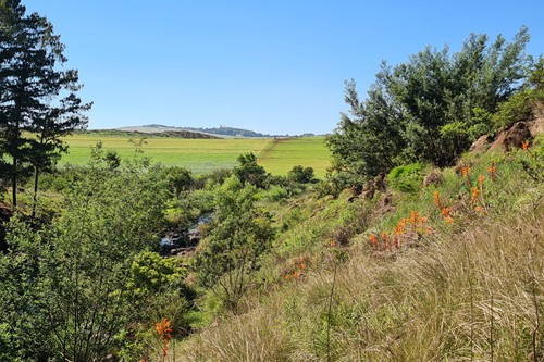 Feb 2026 - Otters Den (17)