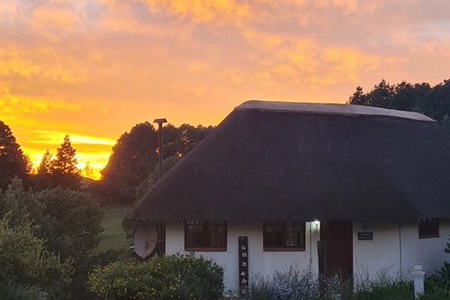 Feb 2026 - Otters Den (2)