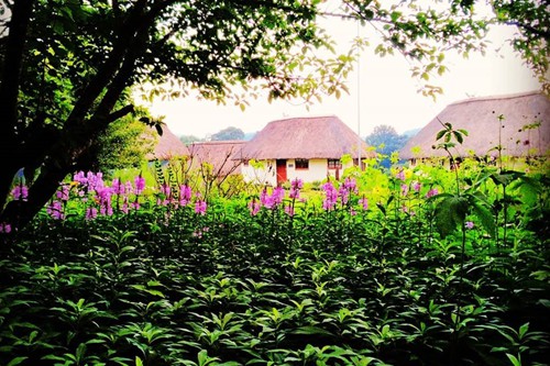 Otters Den Extra (2)