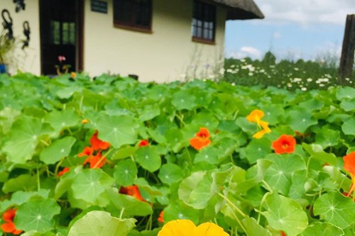 Otters Den Extra (7)