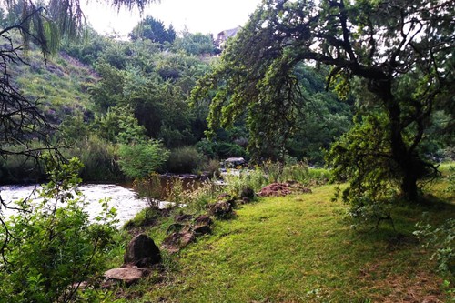 Otters Den Extra (9)